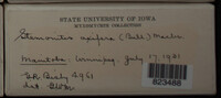 Image Associated With the Occurence